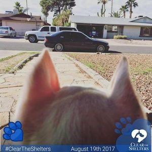 Meet your Posher, Anthony